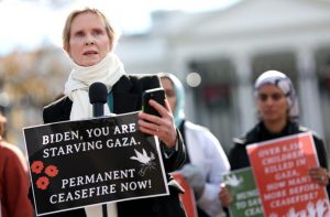 Cynthia Nixon Gaza